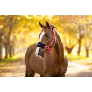 LeMieux Vogue Headcollar & Leadrope  - Cranberry 