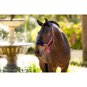 LeMieux Vogue Headcollar & Leadrope  - Cranberry in Cranberry