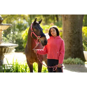 LeMieux Vogue Headcollar & Leadrope  - Cranberry in Cranberry