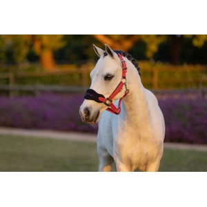 LeMieux Mini Vogue Headcollar & Leadrope  - Cranberry in Cranberry