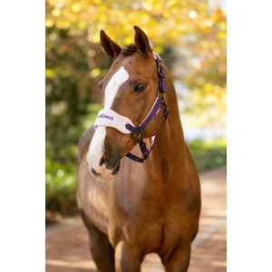LeMieux Vogue Headcollar & Leadrope  - Juniper in Juniper