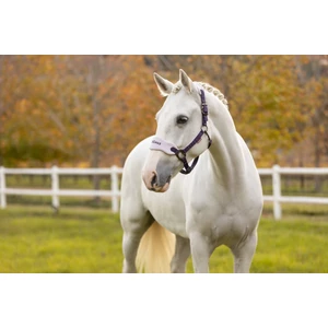 LeMieux Vogue Headcollar & Leadrope  - Juniper in Juniper