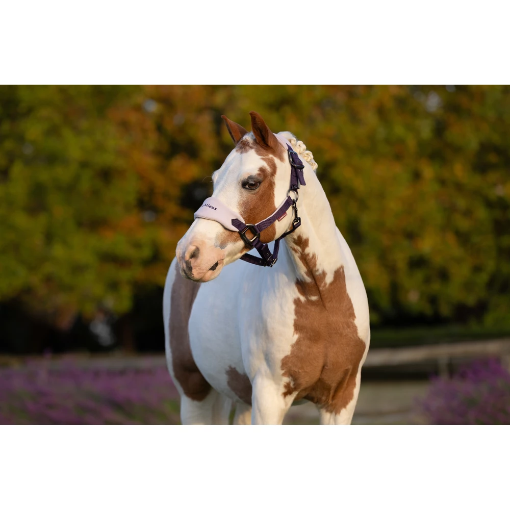 LeMieux Mini Vogue Headcollar & Leadrope  - Juniper in Juniper