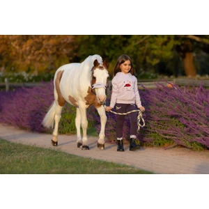 LeMieux Mini Vogue Headcollar & Leadrope  - Juniper 
