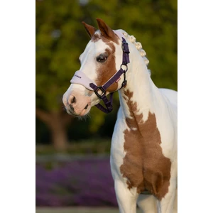 LeMieux Mini Vogue Headcollar & Leadrope  - Juniper in Juniper