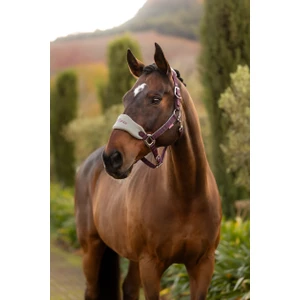 LeMieux Vogue Headcollar & Leadrope  - Damson 