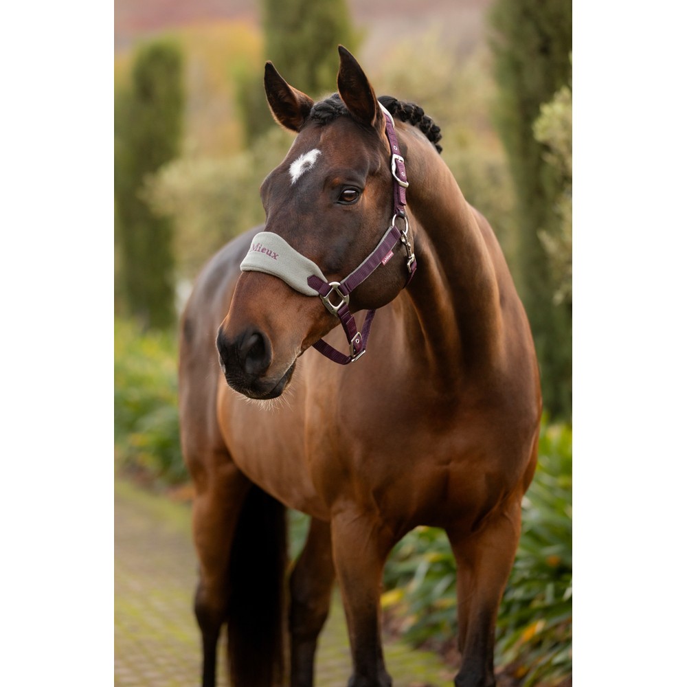 LeMieux Vogue Headcollar & Leadrope - Damson