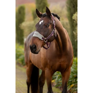 LeMieux Vogue Headcollar & Leadrope  - Damson in Damson