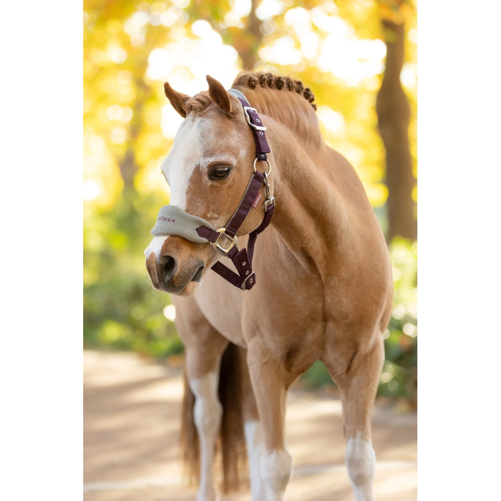 LeMieux Mini Vogue Headcollar & Leadrope  - Damson in Damson