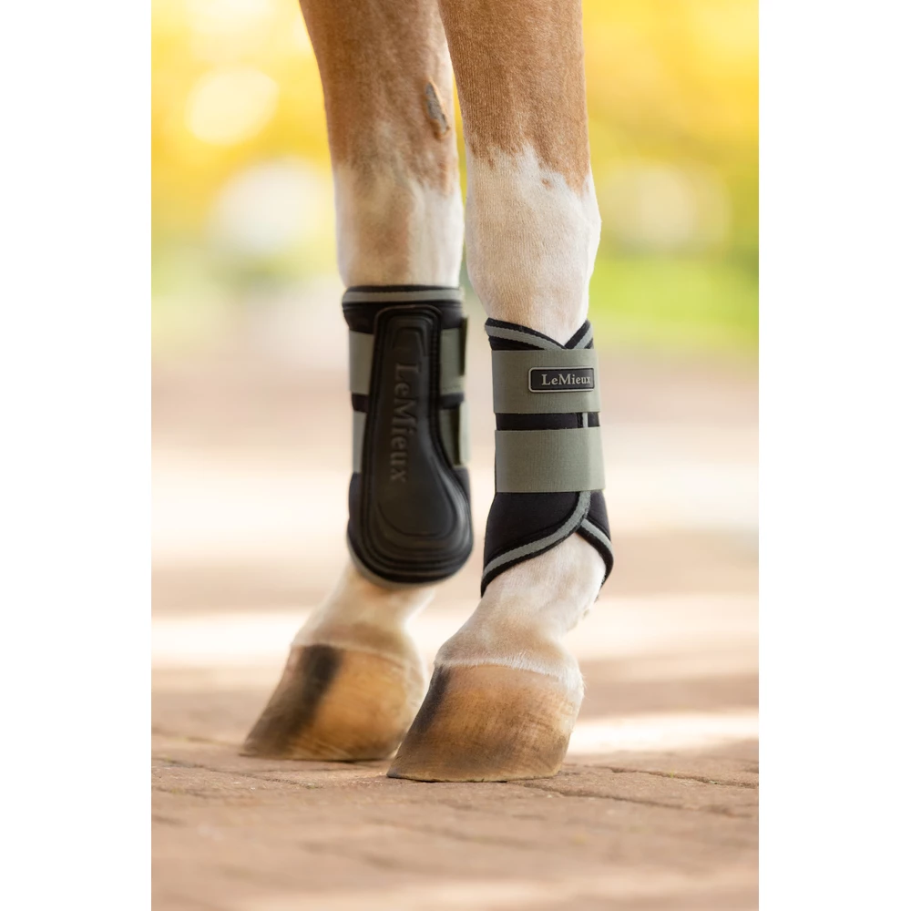 LeMieux Mini Grafter Brushing Boots  - Rosemary in Rosemary