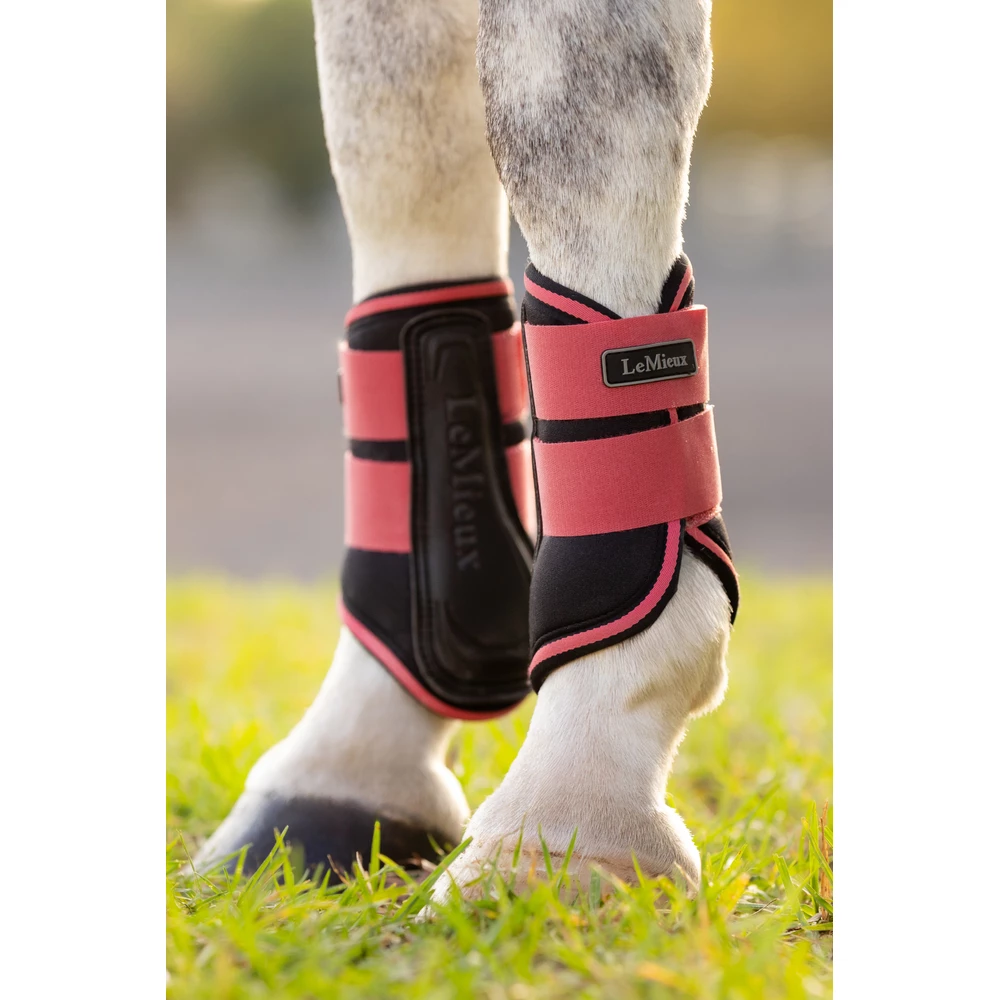 LeMieux Mini Grafter Brushing Boots  - Cranberry in Cranberry