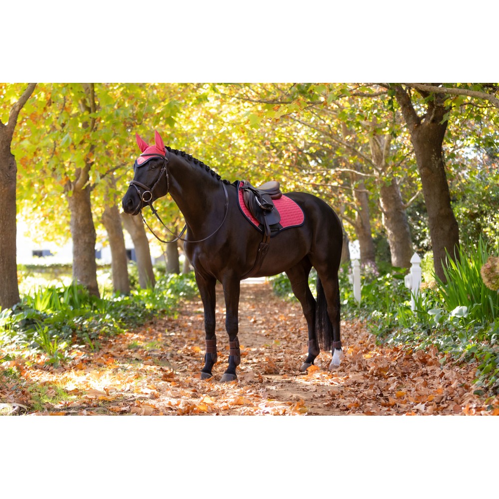 LeMieux Suede Close Contact Square - Cranberry