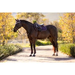 LeMieux Loire Classic Close Contact Square  - Juniper in Juniper