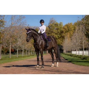 LeMieux Loire Classic Close Contact Square  - Juniper in Juniper