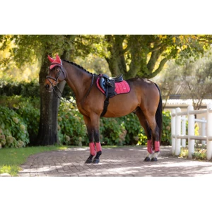 LeMieux Loire Classic Close Contact Square  - Cranberry in Cranberry