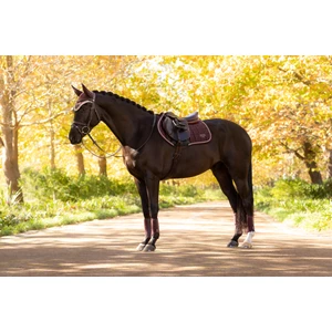 LeMieux Loire Classic Close Contact Square  - Damson in Damson