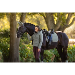 LeMieux Suede Dressage Square  - Rosemary in Rosemary