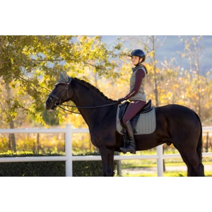 LeMieux Suede Dressage Square  - Rosemary in Rosemary