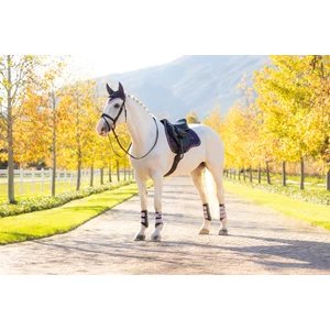 LeMieux Loire Classic GP Square  - Juniper in Juniper