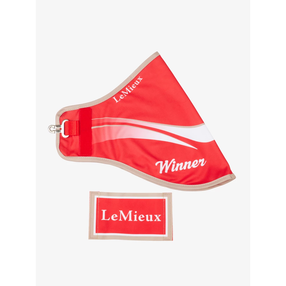LeMieux Hobby Horse Winners Rug  - Red in Red