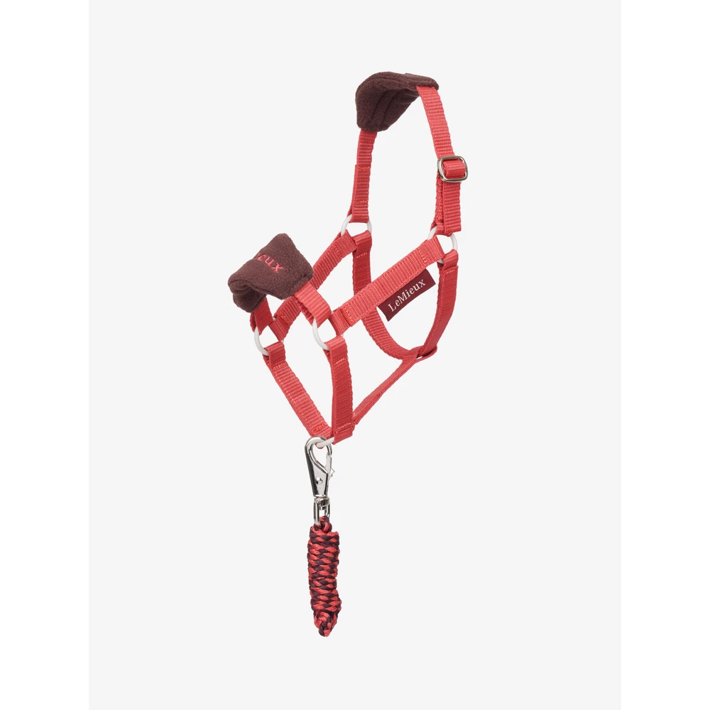 LeMieux Hobby Horse Vogue Headcollar & Leadrope  - Cranberry in Cranberry