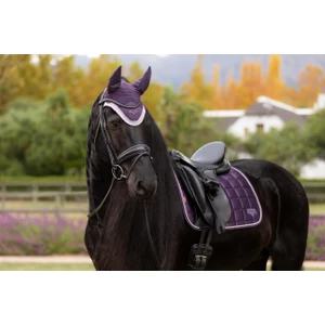 LeMieux Loire Classic Dressage Square  - Juniper in Juniper