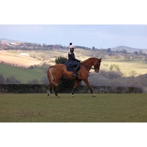 Aubrion React Long Coat - Shadow in Shadow