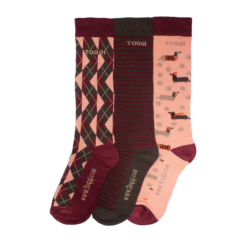 Toggi Loughty womens socks - Burgundy in Burgundy