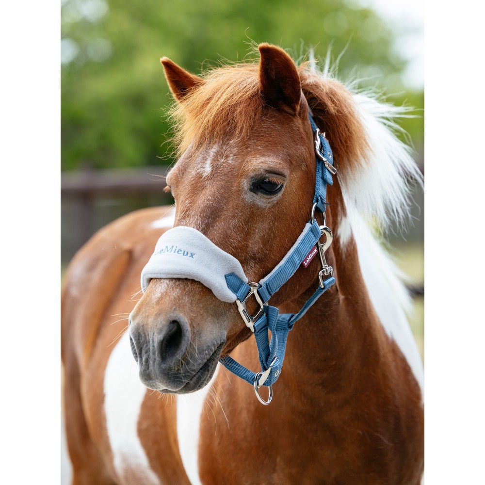 LeMieux Mini Vogue Headcollar & Leadrope - Ice Blue