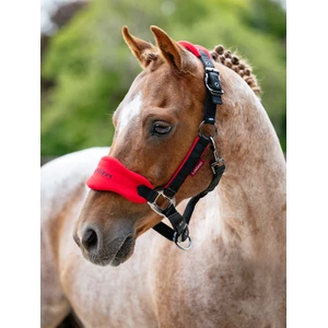 LeMieux Mini Vogue Headcollar & Leadrope  - Chilli 