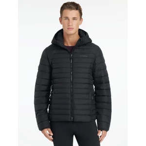 LeMieux Mens Hooded Puffer Jacket  - Black in Black