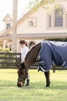 Horseware Rhino Rhino Plus Pony Turnout 250g VL  - Navy/Titanium Grey & Classic Blue in Navy/Titanium Grey & Classic Blue