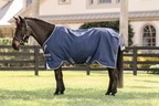 Horseware Rhino Rhino Plus Pony Turnout 250g VL  - Navy/Titanium Grey & Classic Blue in Navy/Titanium Grey & Classic Blue