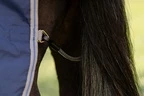 Horseware Rhino Rhino Plus Pony Turnout 250g VL  - Navy/Titanium Grey & Classic Blue in Navy/Titanium Grey & Classic Blue