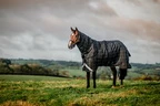 Horseware Rhino Rhino Plus Pony Turnout Bundle (0g + 200g)  - Black Check/Black & White in Black Check/Black & White
