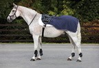 Horseware Rambo Rambo Waterproof Fleece Exercise Sheet - Navy/Thunderstorm Grey & Silver