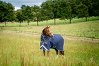 Horseware Rhino Rhino Plus Turnout 450g VL  - Navy/Titanium Grey & Classic Blue in Navy/Titanium Grey & Classic Blue