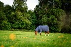 Horseware Rhino Rhino Plus Turnout 450g VL - Navy/Titanium Grey & Classic Blue