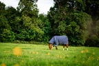 Horseware Rhino Rhino Plus Turnout 450g VL  - Navy/Titanium Grey & Classic Blue in Navy/Titanium Grey & Classic Blue