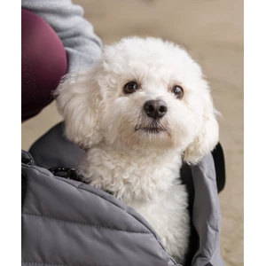 Kingsland KLMacey Dog Blanket Bag - Grey Forged Iron in Grey Forged Iron