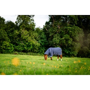 Horseware Rhino Rhino Plus Turnout 450g VL  - Navy/Titanium Grey & Classic Blue in Navy/Titanium Grey & Classic Blue