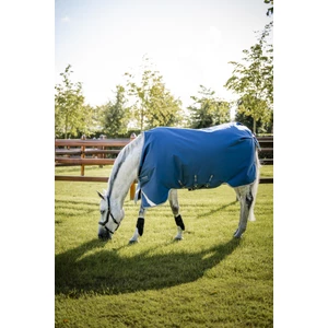Horseware Ionic Therapy Turnout 100g  - Imperial Blue/Silver & Navy in Imperial Blue/Silver & Navy