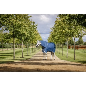 Horseware Ionic Therapy Turnout 100g  - Imperial Blue/Silver & Navy in Imperial Blue/Silver & Navy