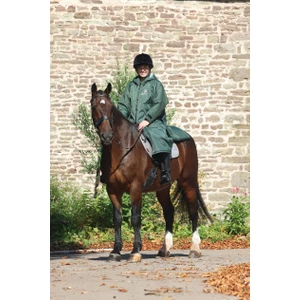 EQUIDRY Original| Thick Fleece - Black Forest Green/Grey in Black Forest Green/Grey