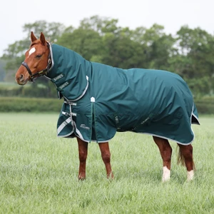 Shires Equestrian Highlander Original 300 Turnout Combo Rug - Green in Green