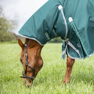 Shires Equestrian Highlander Original 300 Turnout Combo Rug - Green in Green