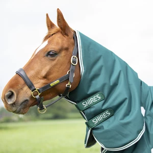 Shires Equestrian Highlander Original 300 Turnout Combo Rug - Green in Green