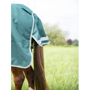 Shires Equestrian Highlander Original 300 Turnout Combo Rug - Green in Green