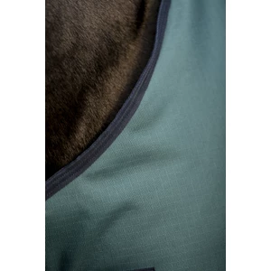 Horseware Amigo Amigo Ripstop 900D Turnout 100g - Dynasty Green/Navy & Silver in Dynasty Green/Navy & Silver