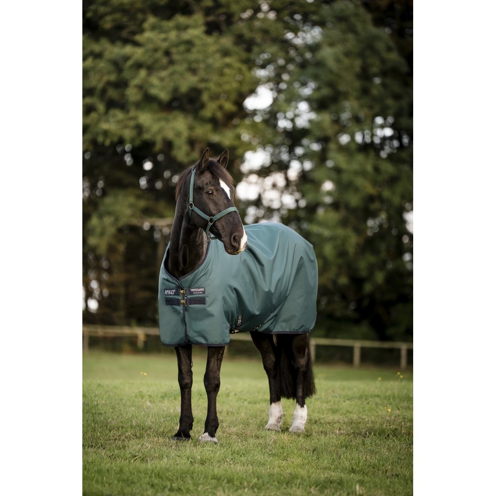 Horseware Amigo Amigo Ripstop 900D Turnout 100g - Dynasty Green/Navy & Silver 